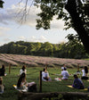 Yoga class in the field