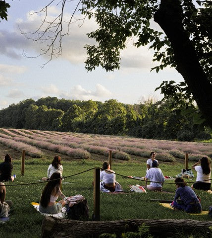 Yoga class in the field
