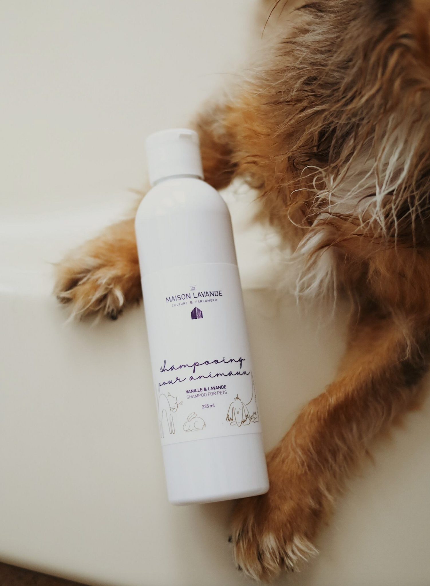 Shampooing pour animaux - Vanille & Lavande