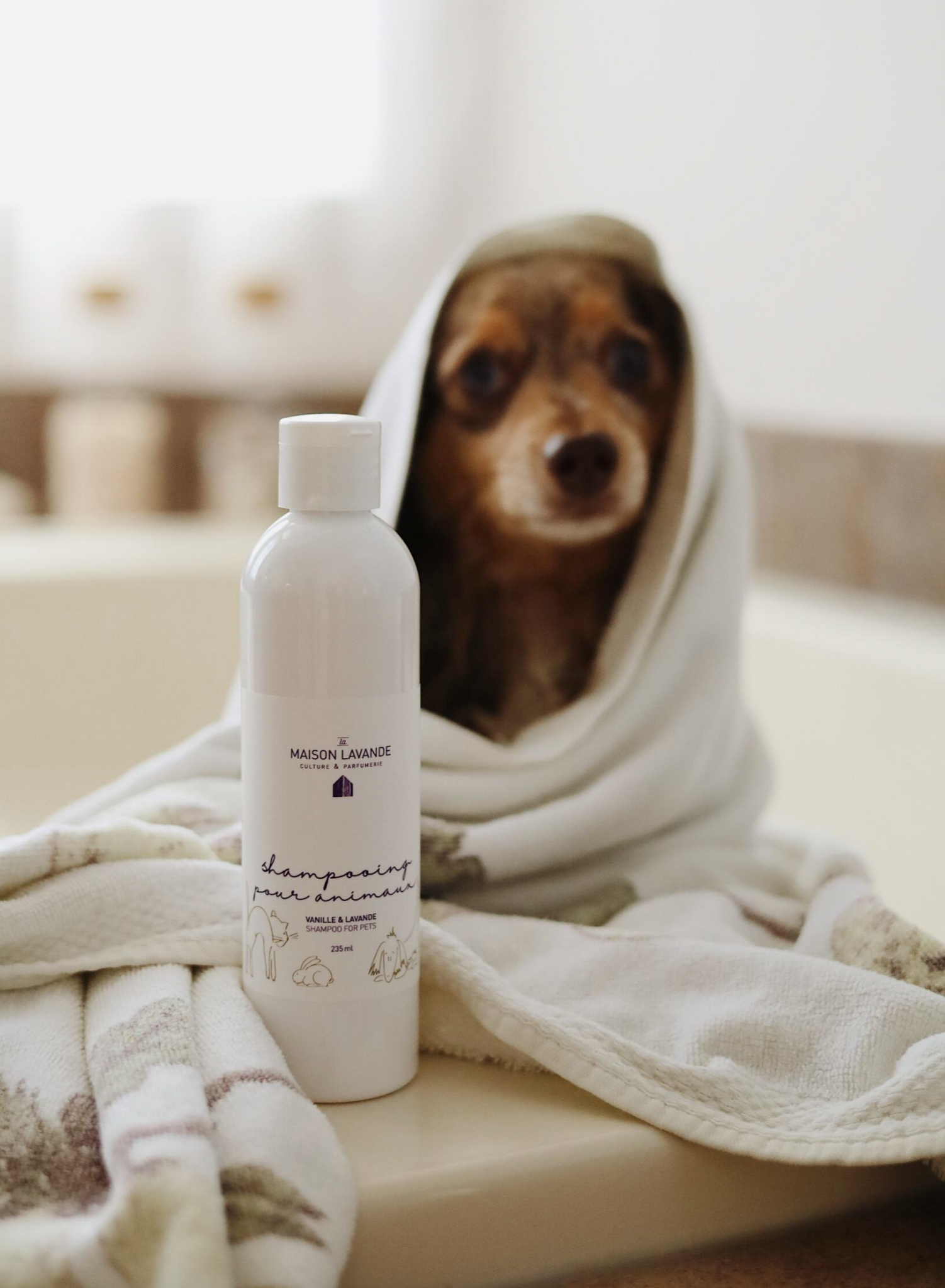 Shampooing pour animaux - Vanille & Lavande