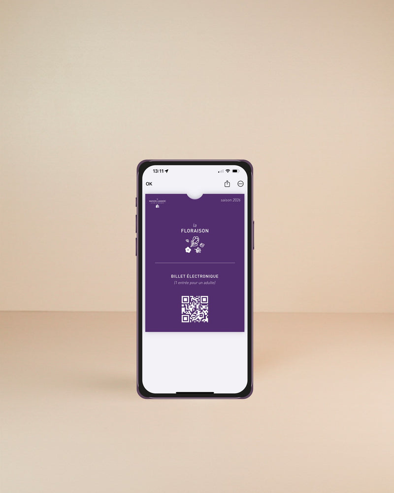 Adult Individual E-Ticket