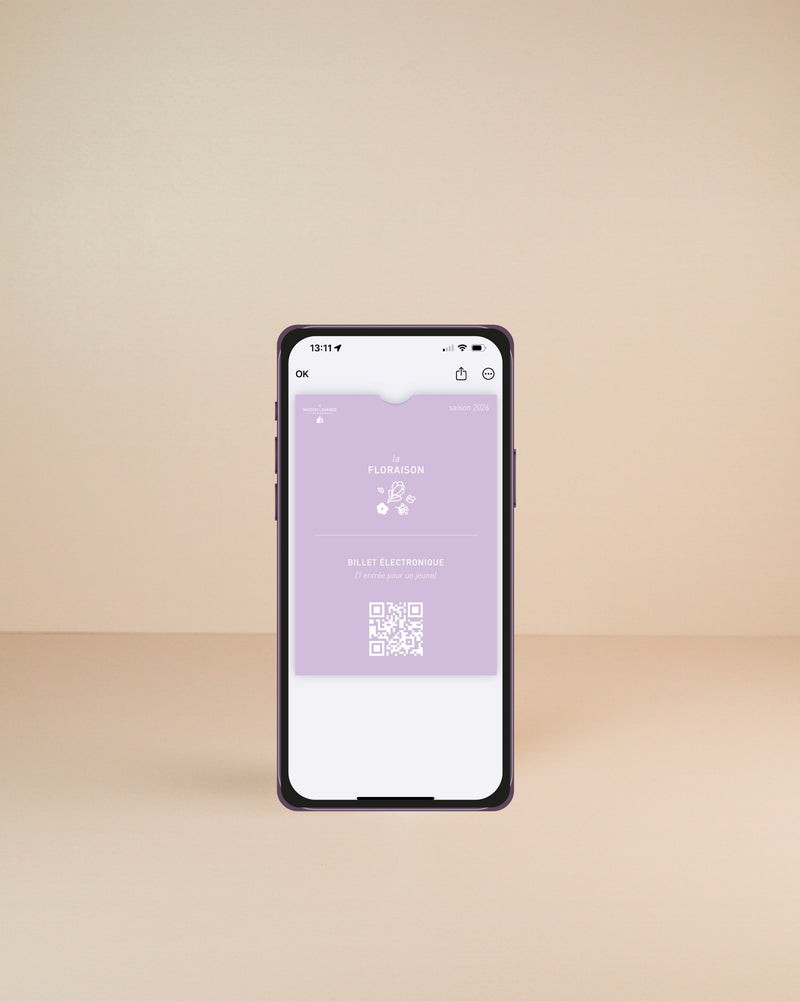 Youth Individual E-Ticket