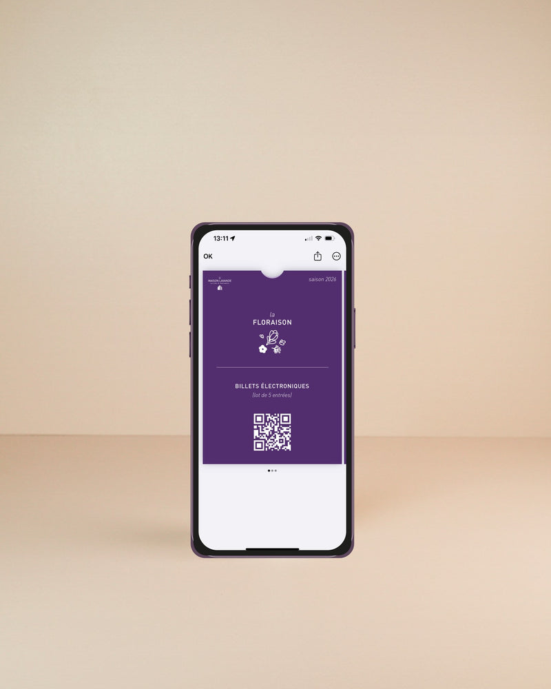 E-tickets (Set of 5 entries)