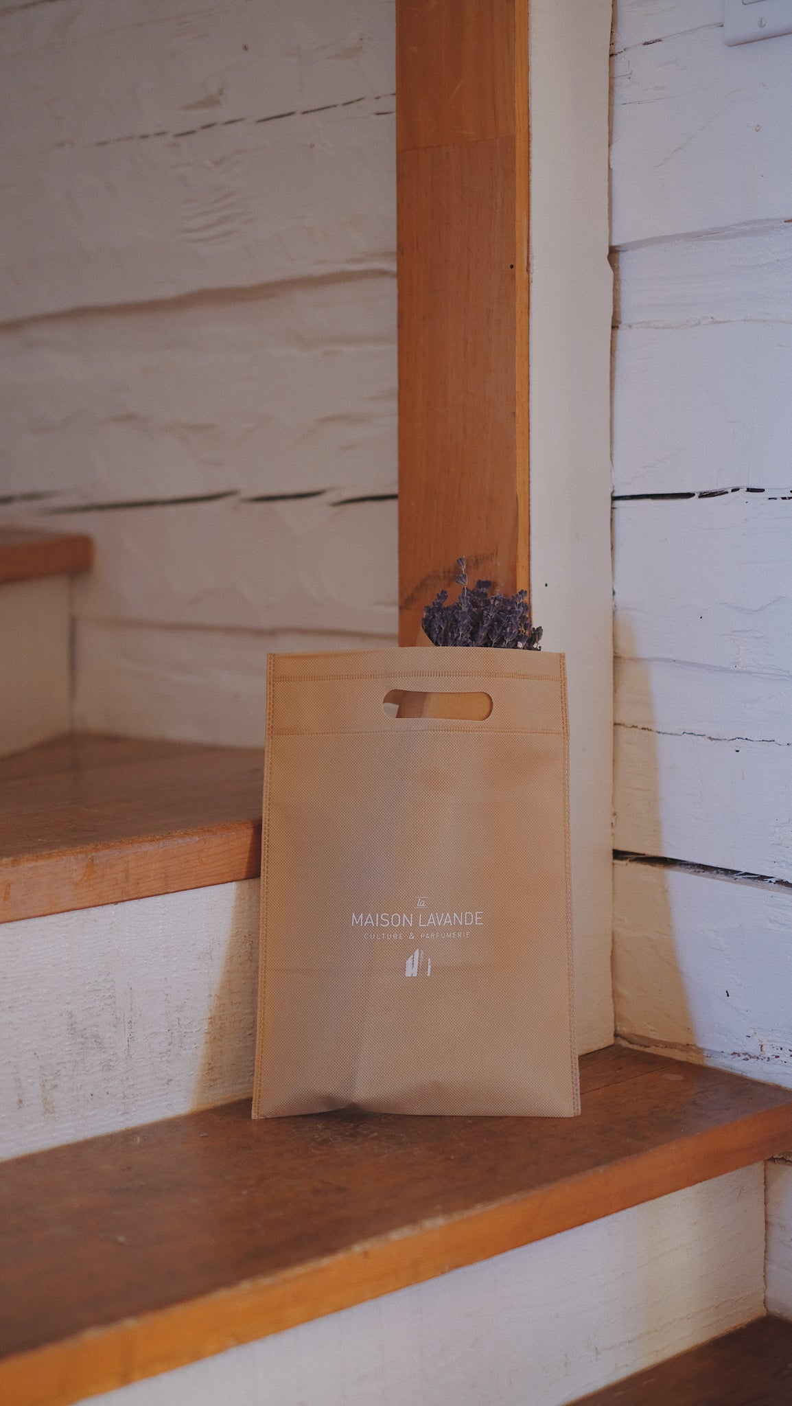 Petit sac réutilisable (non-tissé)|| Small Reusable Bag (non-woven)